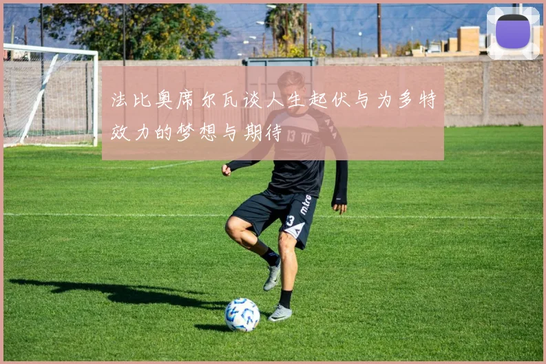 法比奥席尔瓦谈人生起伏与为多特效力的梦想与期待