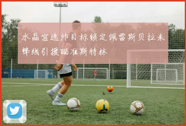 水晶宫选帅目标锁定佩雷斯贝拉米锋线引援瞄准斯特林
